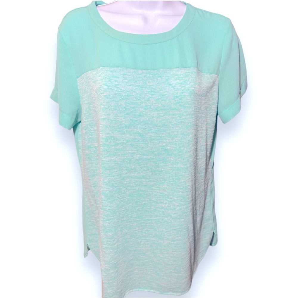 Van Huesen Light Green Blouse